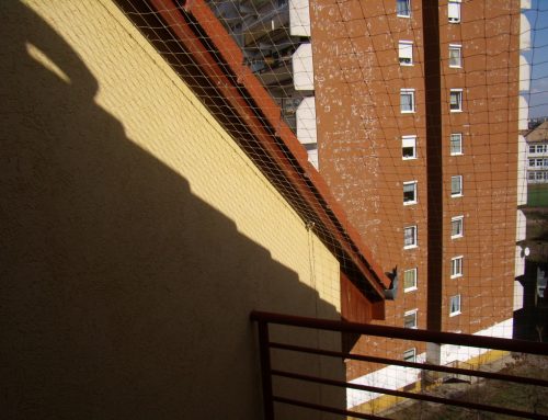 Madárháló: hatékony megoldás az erkélyek védelméhez!